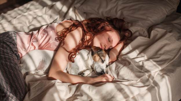 Pies w twoim łóżku to nie tylko kwestia wygody...
