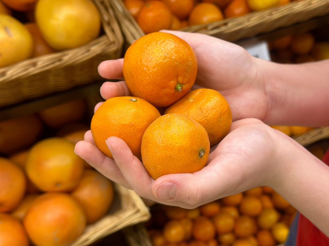 Jak wybrać najlepsze pomarańcze? Szukaj na nich..