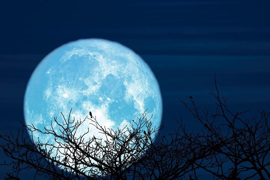 Pełnia Księżyca - luty - 2024. "Snow Moon" wypada 24 lutego